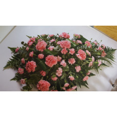 Carnation Teardrop Carnation Teardrop